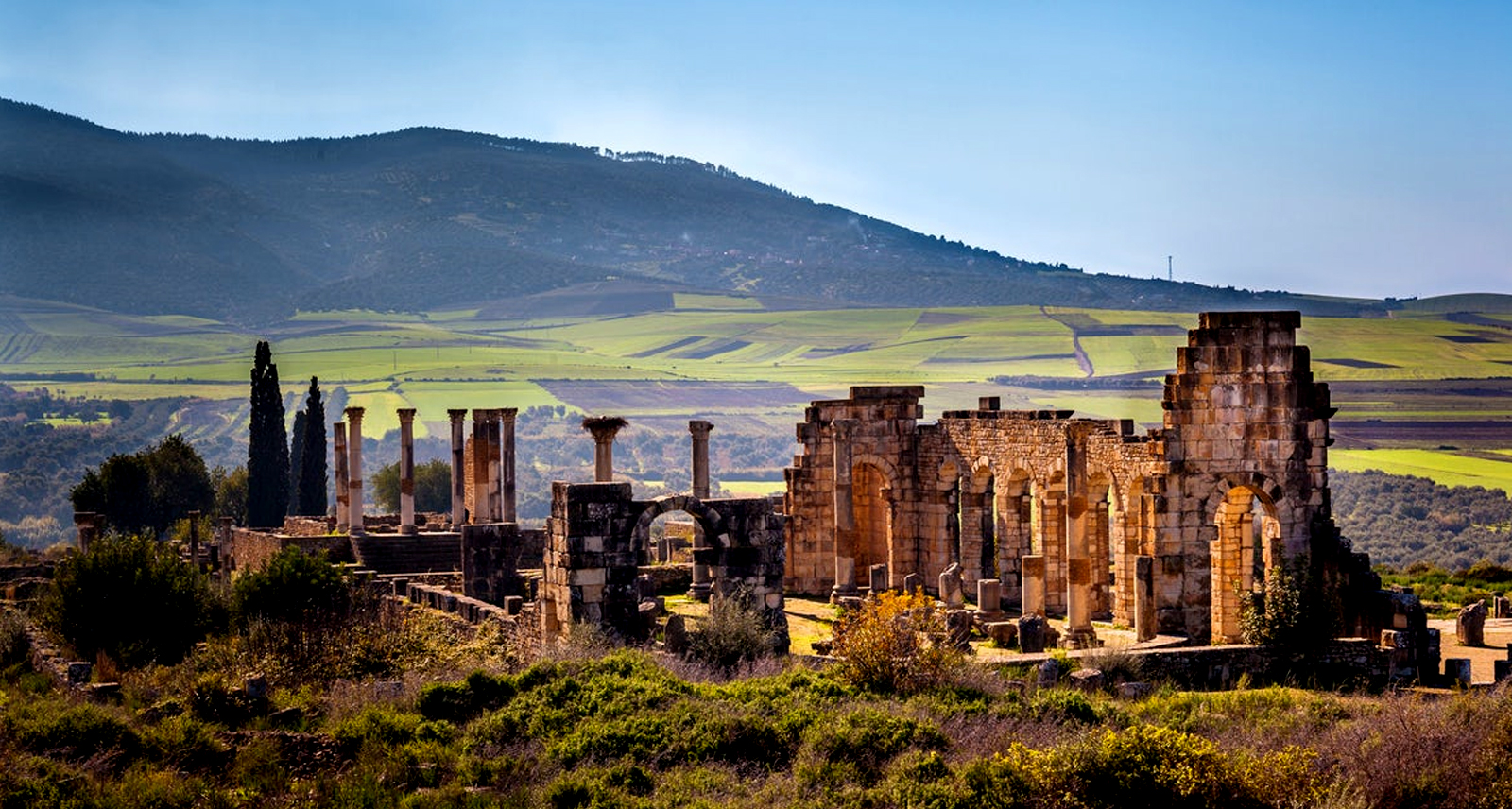 Meknes : Volubilis Trip