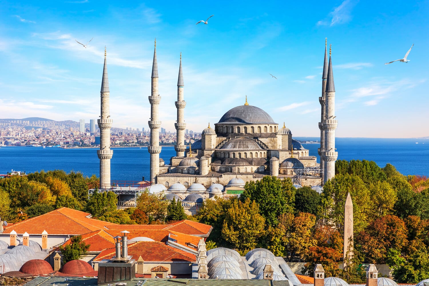agence de voyage Istanbul-Journée Libre 